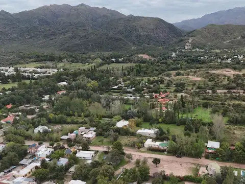 El Pino 100