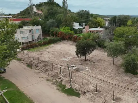 El Pino 100
