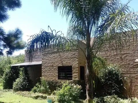 Chañas 5025