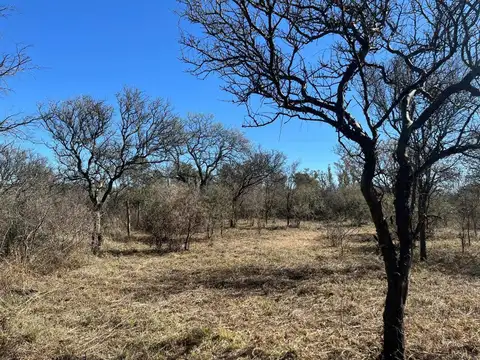 Lote con arboles nativos en villa rio anisacate
