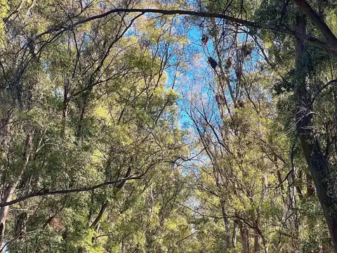 CHACRAS SAN ANDRES CHACRAS 2 LOTE 220