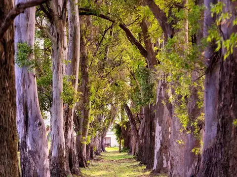 Terreno en Venta en Villa Ruiz, USD 28.000