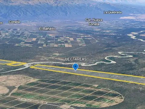 CAMPO DE 296Ha EN DEPTO CAPAYAN CATAMARCA