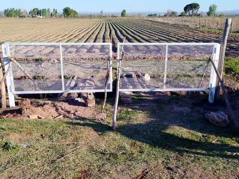 FINCA
