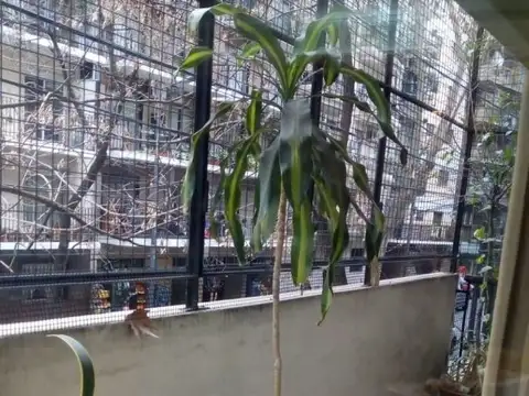 Departamento en Venta en Caballito, USD 235.000