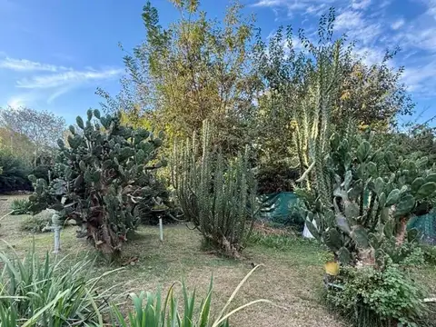 Se venden 2 lotes de 246M2 cada uno, juntos o por separado. Francisco Álvarez, Moreno.