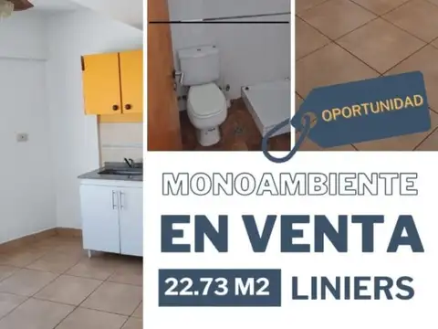 MONO AMBIEBTE SUPER OPORTUNIDAD