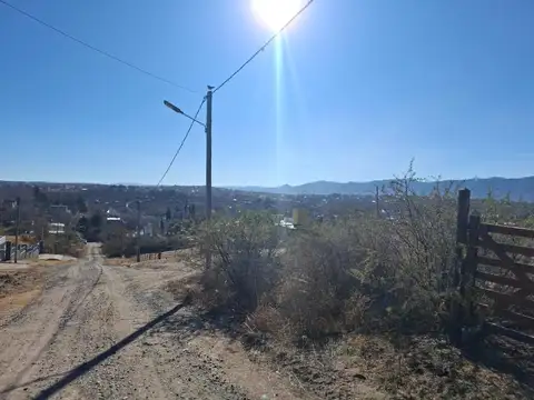 El Zorzal