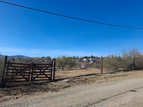 El Zorzal
