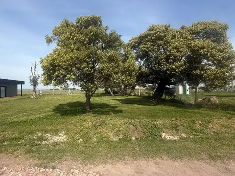 Terreno en Venta de 477,0 m2