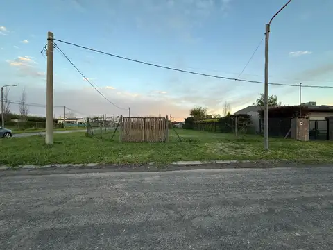 Malvinas e islas del Sur al 500