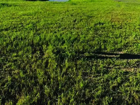 Terreno en Venta de 1000,0 m2