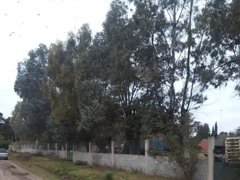 Terreno - Venta - Argentina, SAN VICENTE