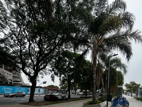 UDAONDO, GUILLERMO, AV. 1000, Piso 10