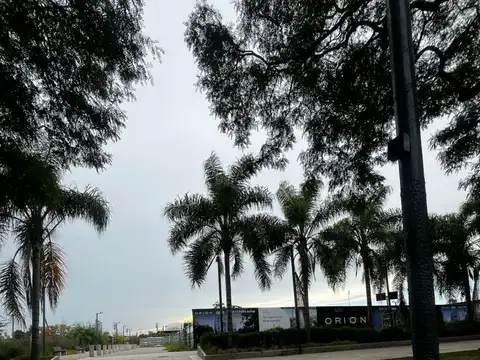 Departamento - Venta - Argentina, Capital Federal - UDAONDO, GUILLERMO, AV. 1003