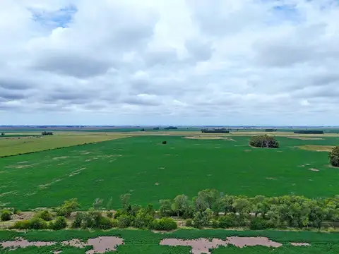 San Andres de Giles - 287 has. Agricola