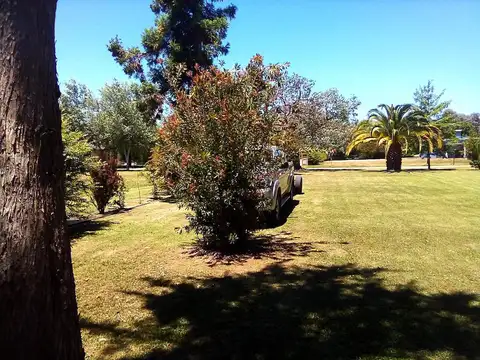 Lote Haras del Sur I