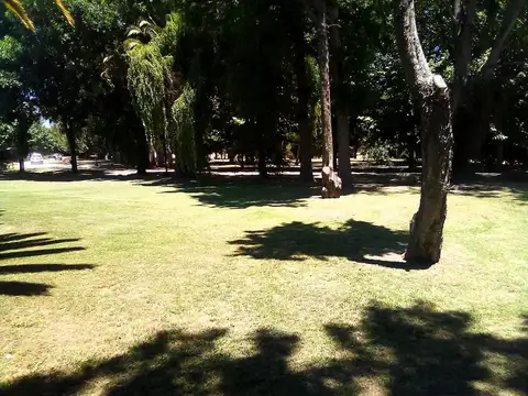 Lote Haras del Sur I