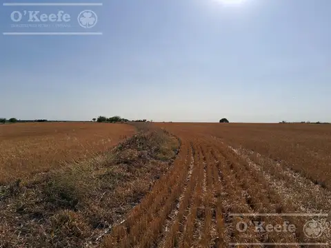 Espectacular campo, con muy buen casco e instalaciones. Agrícola ganadero turístico
