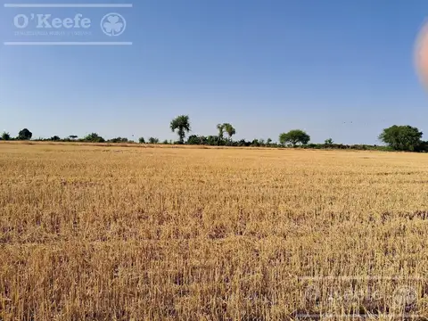 Campo en Venta 2300 has Entre Rios