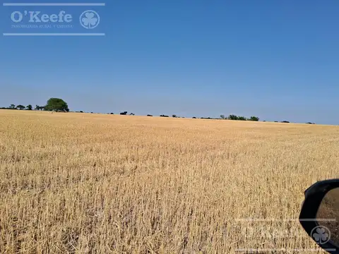 Campo en Venta 2300 has Entre Rios