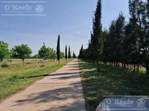 Campo en Venta 2300 has Entre Rios