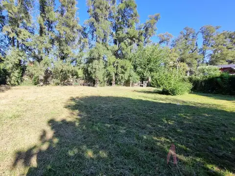 Terreno en Venta 10  mts Frente