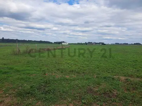 Terreno en Venta de 1029,0 m2