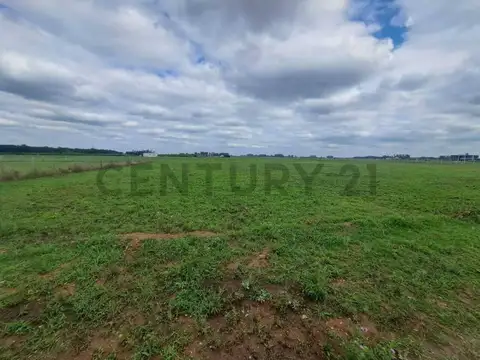 Terreno en Venta 51  mts Fondo