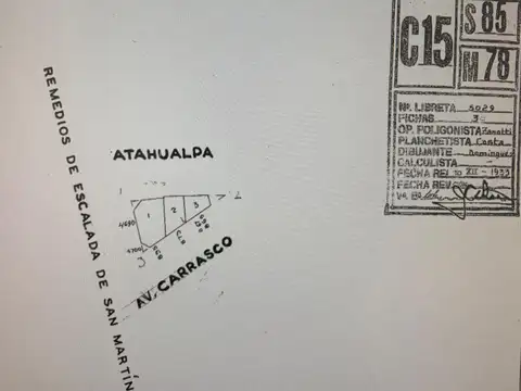 Carrasco 800