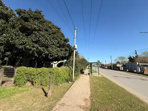 Emilio Castro 100
