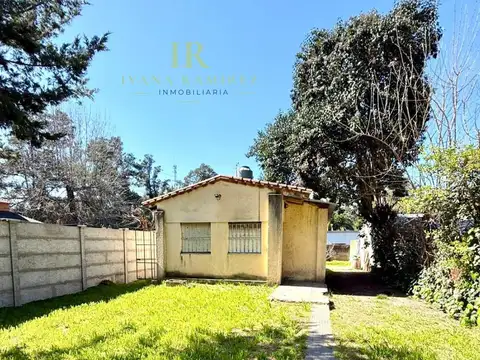 Santa Teresa de Jesus  al 100