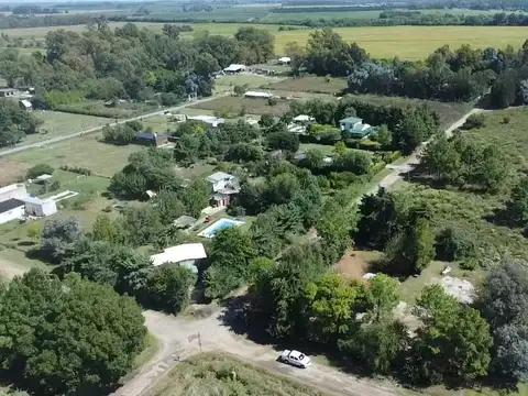 Calle Los Pinos y Calle Alcanfor, El Mangrullo, Zarate