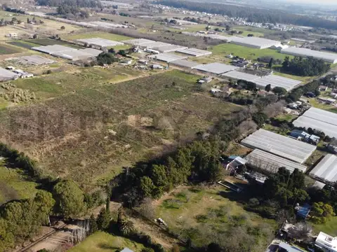 154 entre 455 y 467 , Piso 0