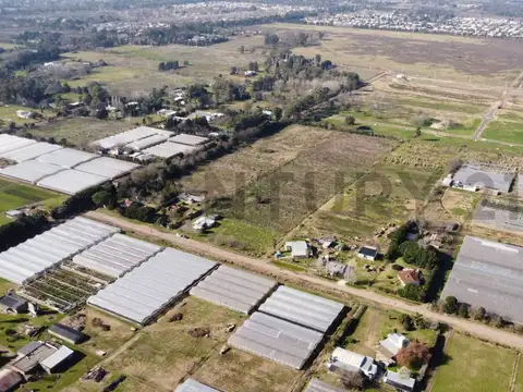 154 entre 455 y 467 , Piso 0