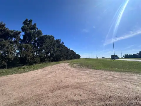 Venta campo en Ruta 1 Kilometro 16