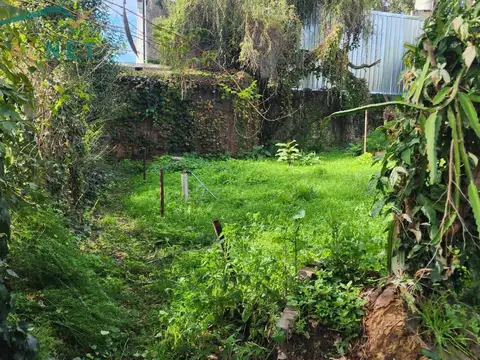 Chiaporri al 1000