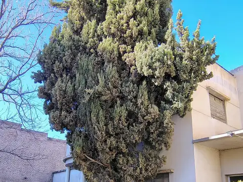 Terreno en Venta en Quinta Sección