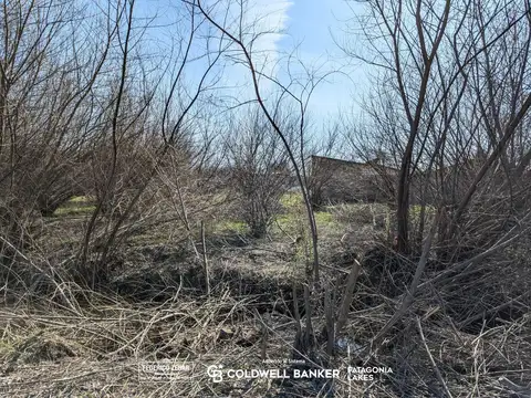 Terreno en Venta de 370,0 m2
