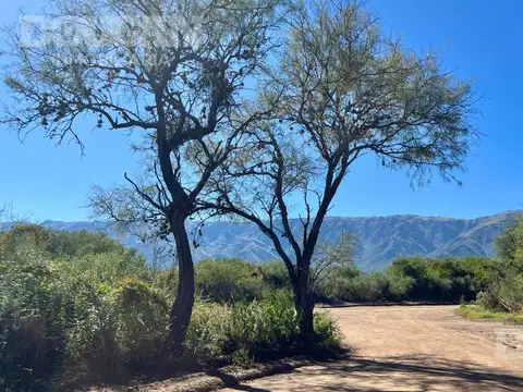 Terreno en Venta de 1500,0 m2