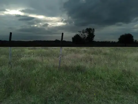 Julia Icaglia De Regueiro 2700