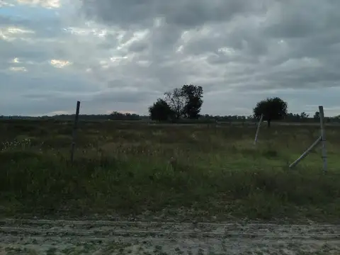 Venta  terrenos La Reja