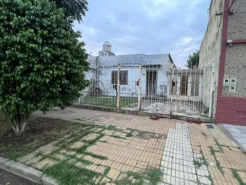 Cotagaita 300