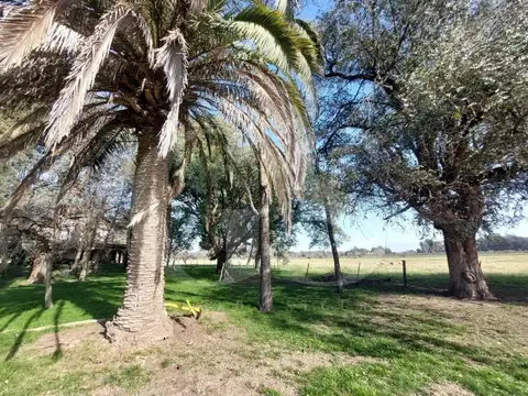 Terreno Campo  en Venta en Fátima, Pilar, G.B.A. Zona Norte