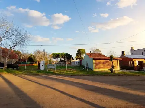 Av.XVII 3000