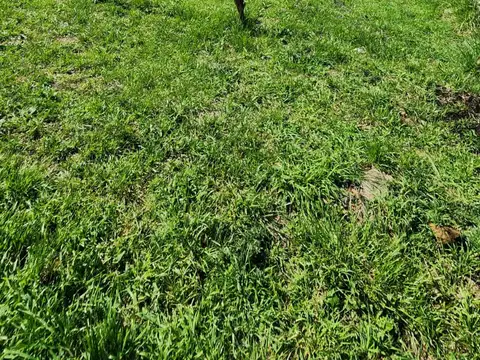 Terreno en Venta 21  mts Fondo