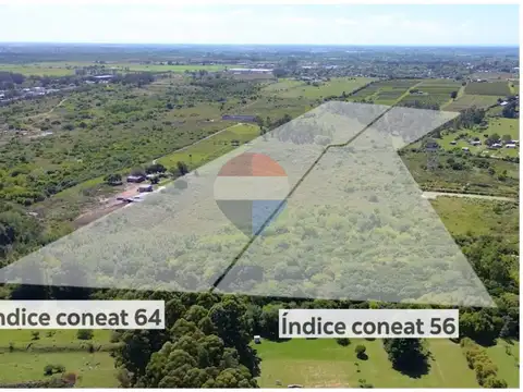 VENTA CAMPO DE 13 HECTÁREAS, JOAQUÍN SUAREZ