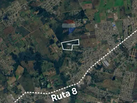 VENTA CAMPO DE 13 HECTÁREAS, JOAQUÍN SUAREZ