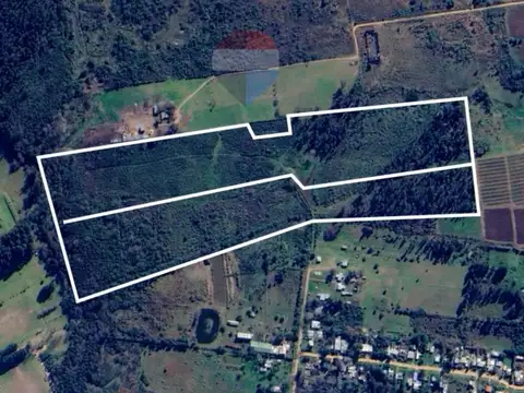 VENTA CAMPO DE 13 HECTÁREAS, JOAQUÍN SUAREZ