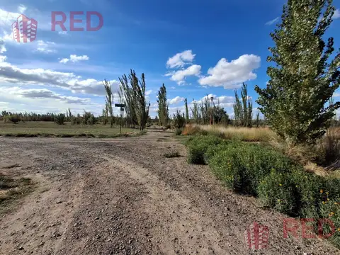 Terreno en Venta 47  mts Fondo